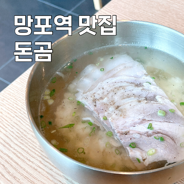 돈곰 이미지