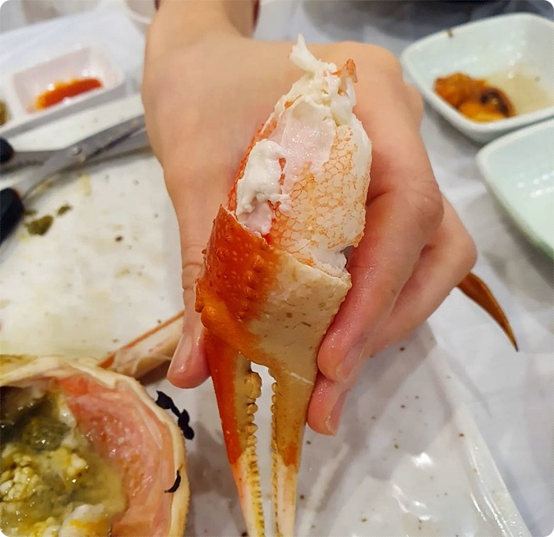 동해진미 이미지
