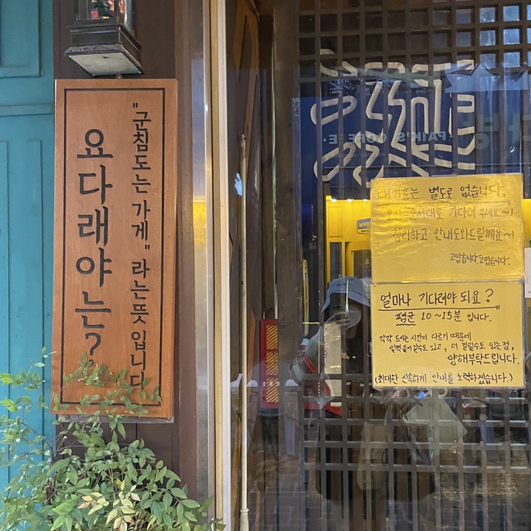 연요다래야 이미지