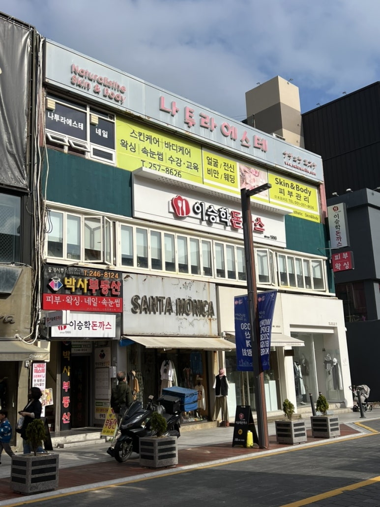 나투라에스테 이미지