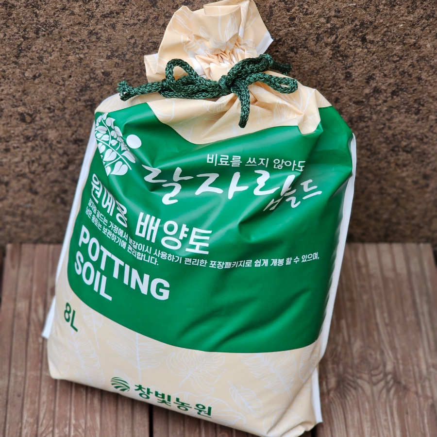 자람주머니 이미지