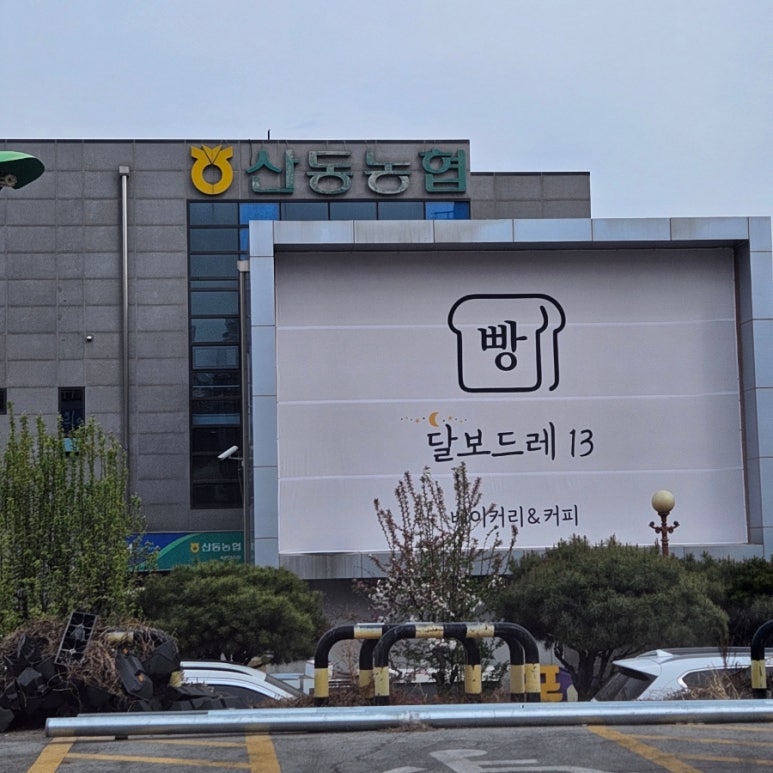 달보드레13 이미지