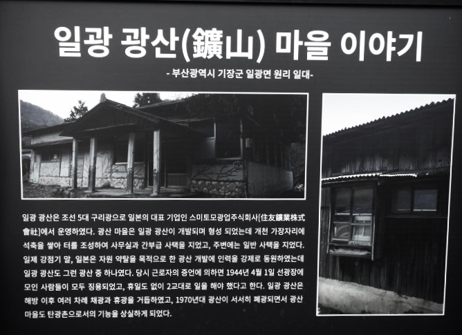 일광인력 이미지