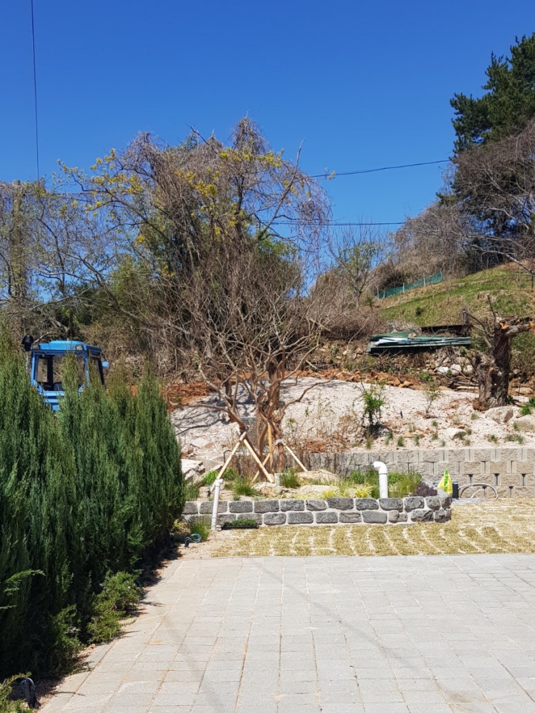 삼동피자 이미지