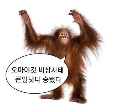 말자갤러리 이미지