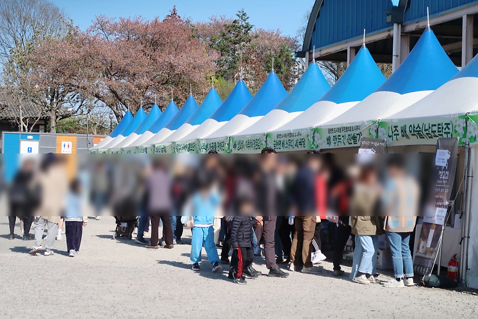 배떡나주 이미지