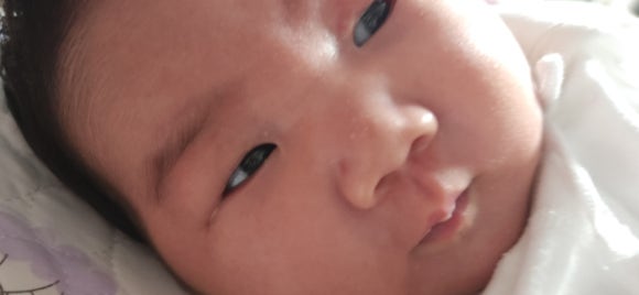 지안21 이미지