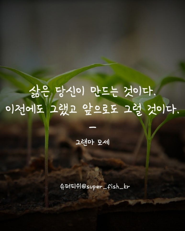 그랜마 이미지
