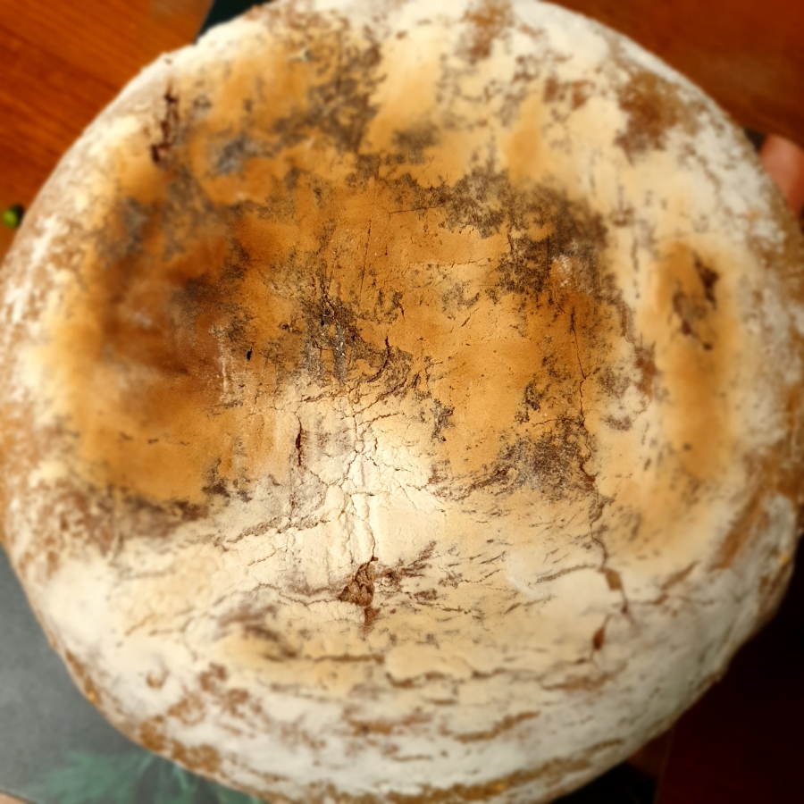 Landbrot(란트브로트) 이미지