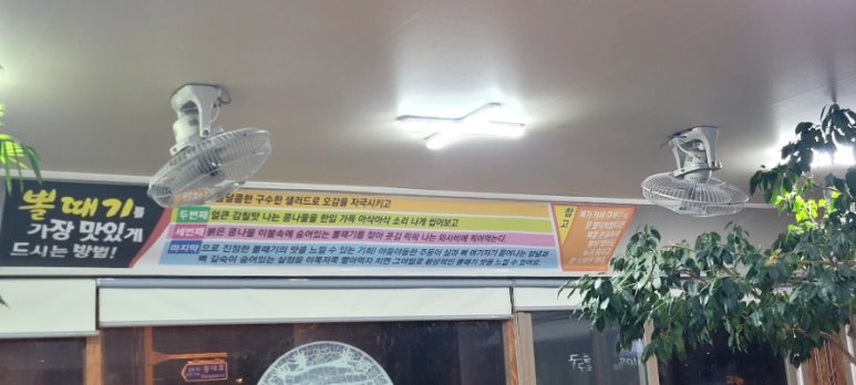 태왕왕볼때기 이미지
