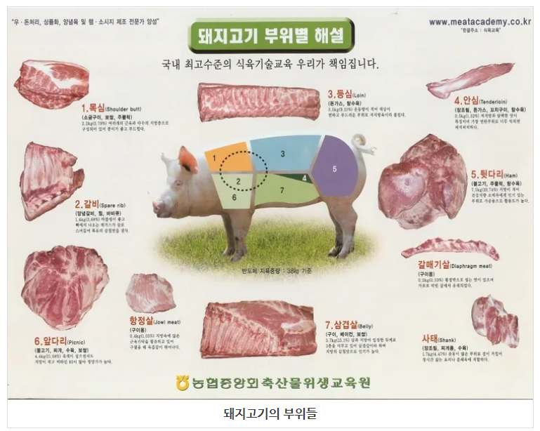 산본꽃돼지 이미지