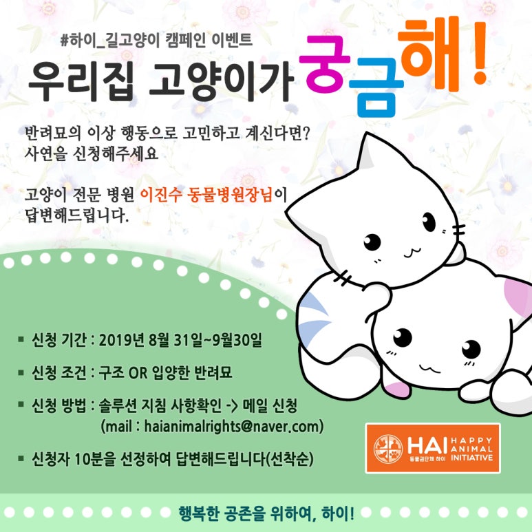 디자인하이 이미지