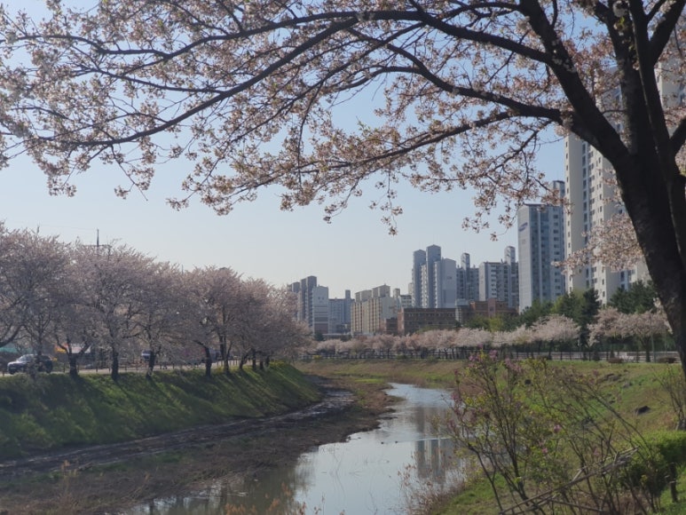 진명주유소 이미지