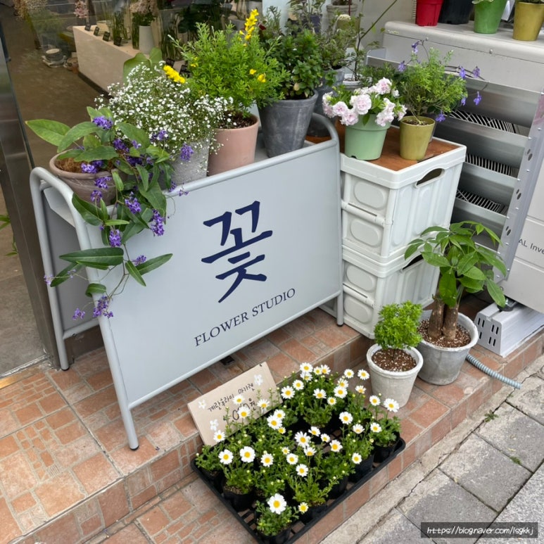 커들리플라워 이미지