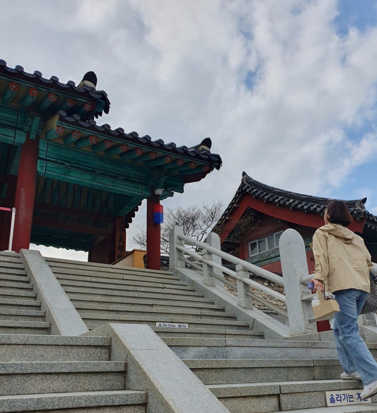 시바와플 이미지