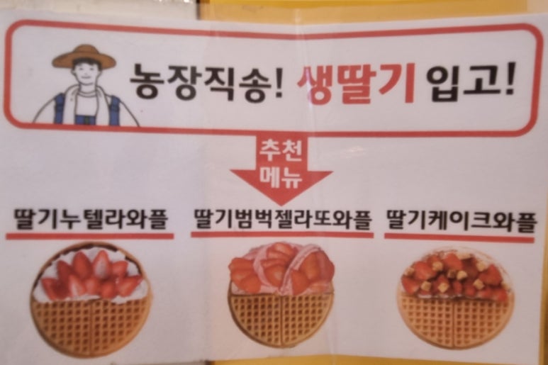 와플대학 양천구청캠퍼스 이미지