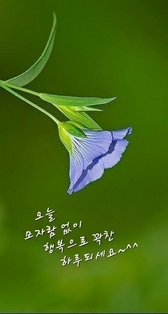 탐라도횟집 이미지