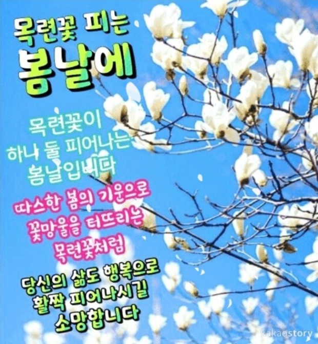 꽃피는봄날 이미지