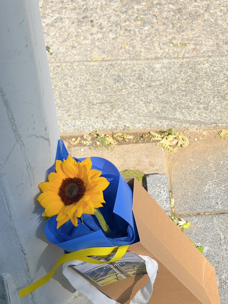커들리플라워 이미지