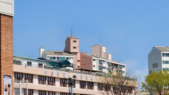 서울양명초등학교 이미지