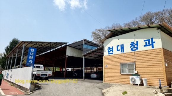 현대청과 이미지