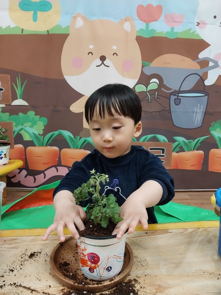 예꿈어린이집 이미지