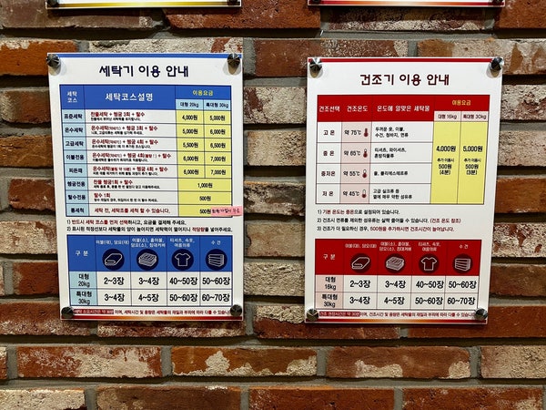 워시테리아전주 이미지