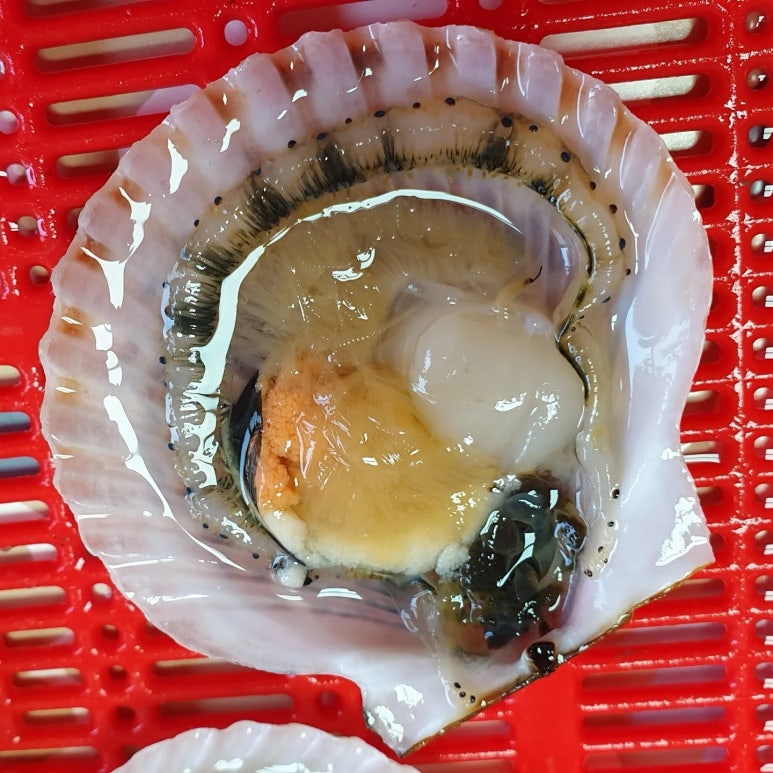 해신수산포차 이미지