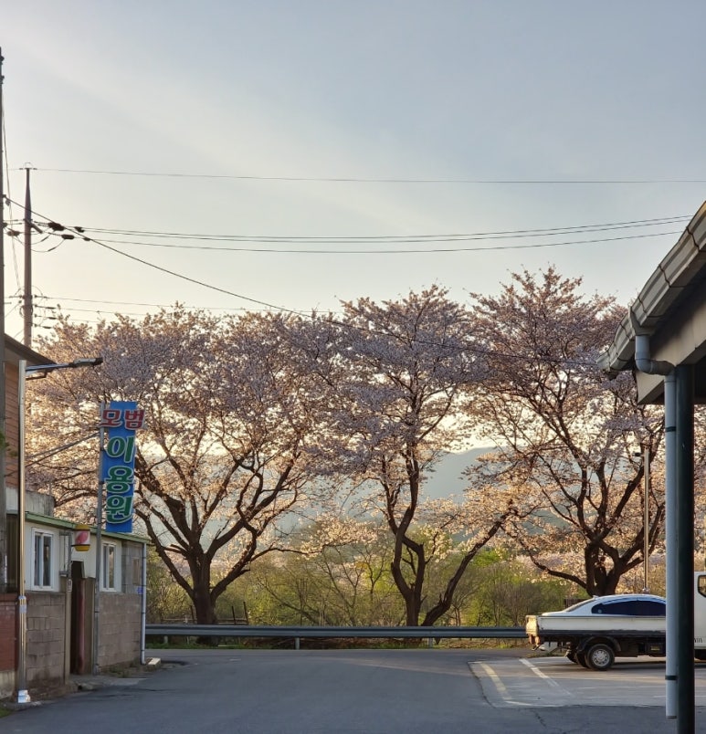 카페율어 이미지