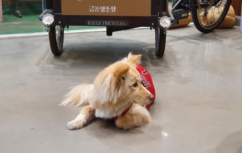 온수닭집 이미지