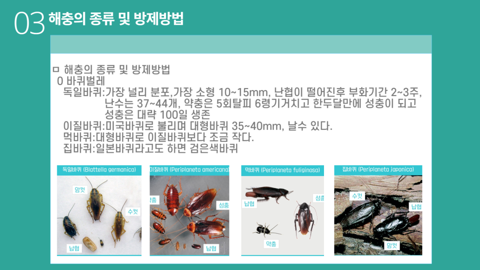 해충대장소독방역바퀴벌레쥐퇴치 이미지