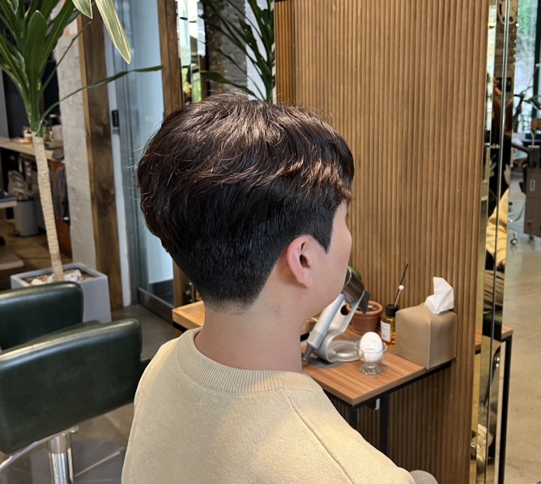 라시옹 이미지