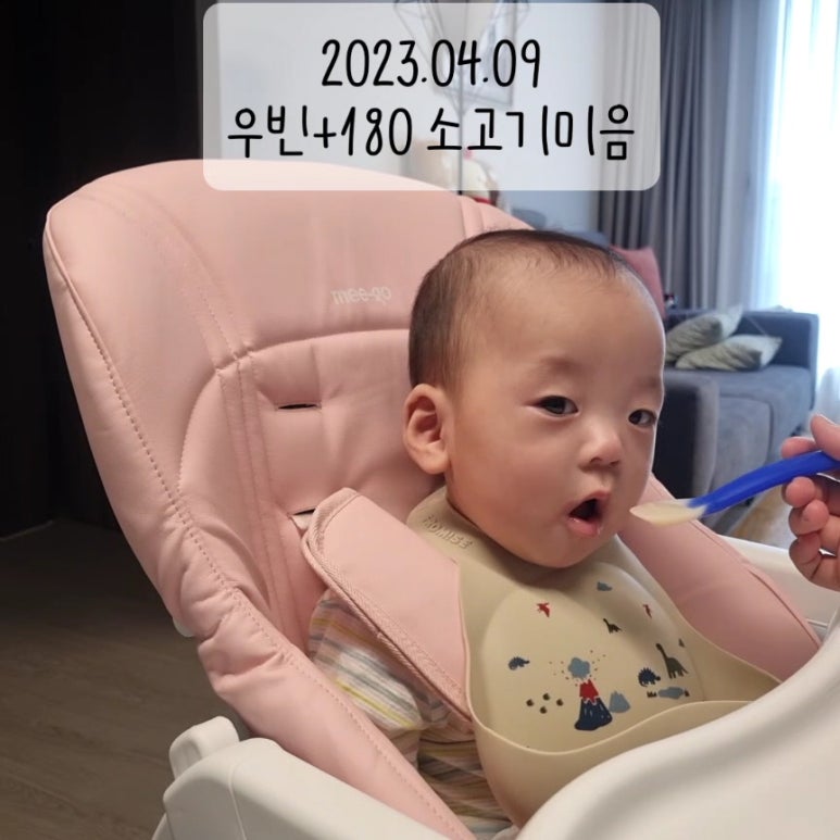 미고기미 이미지