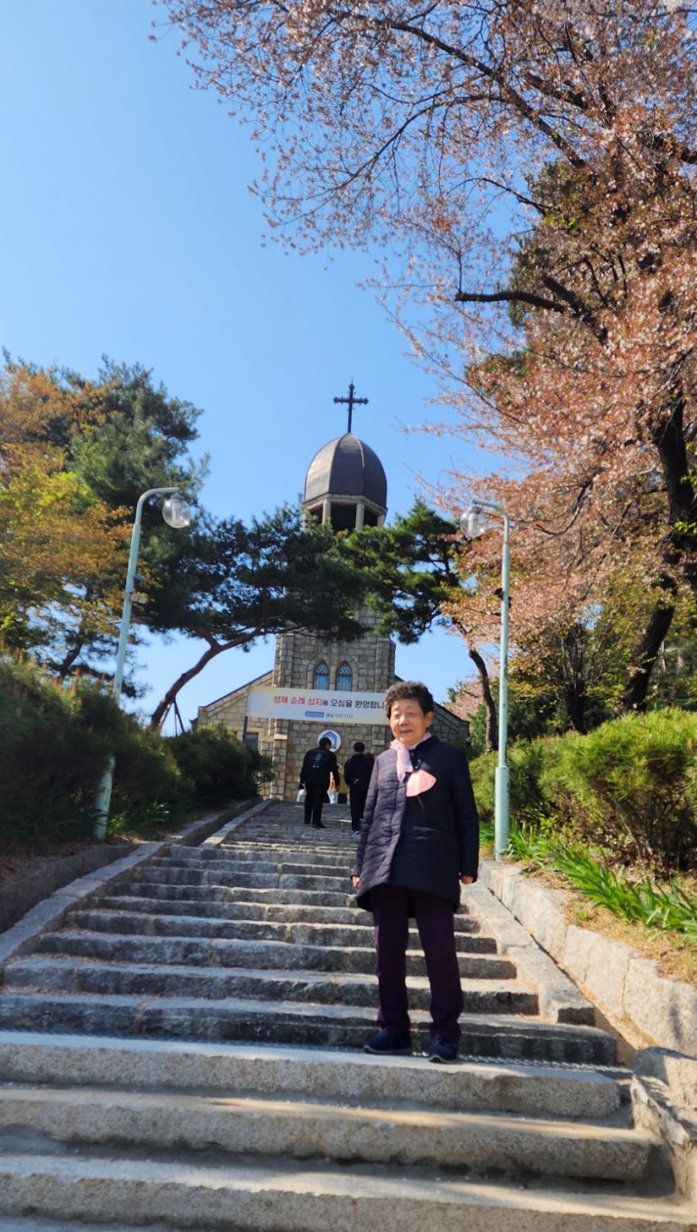목포군산회집 이미지