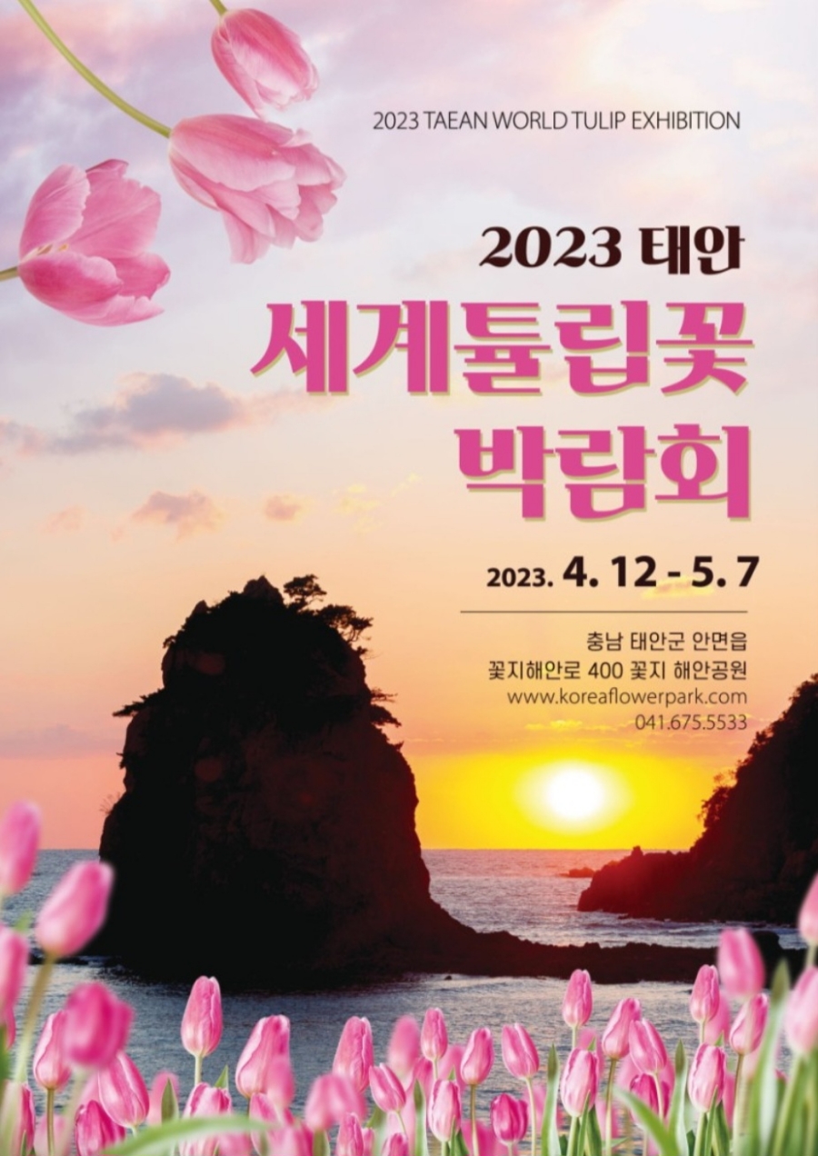 태산플라워 이미지