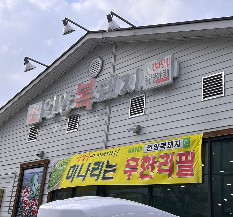 언양 복돼지 이미지