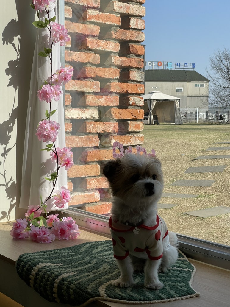 카페글램 이미지