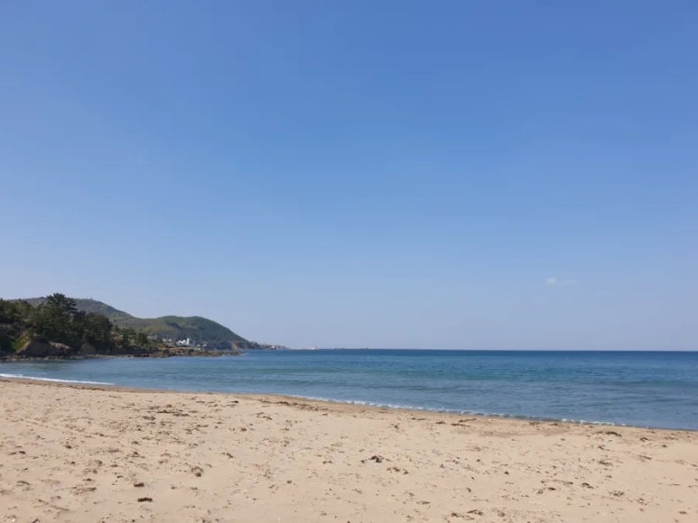 오별난멸치국수월포점 이미지