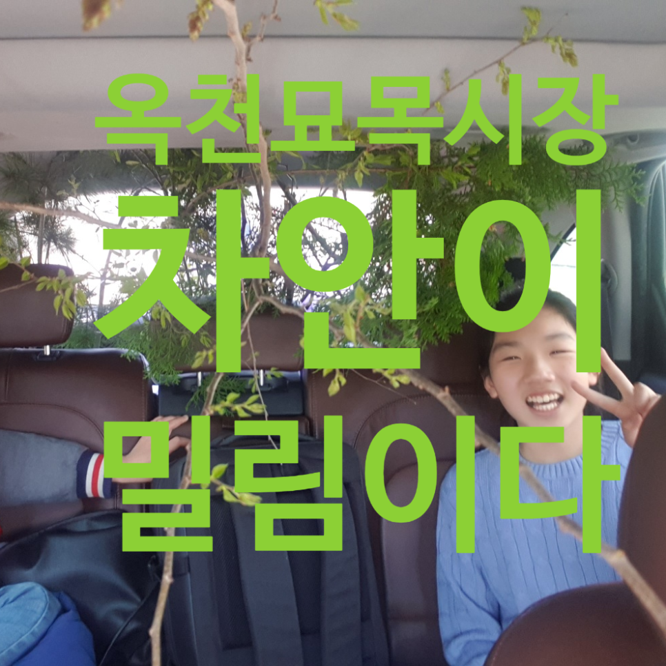 옛장터숯불갈비 이미지