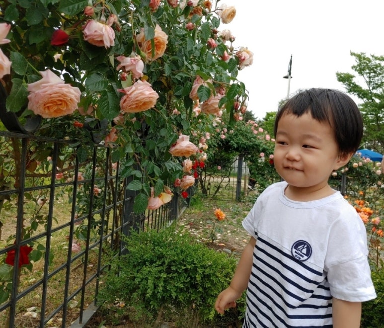 한밭화원 이미지