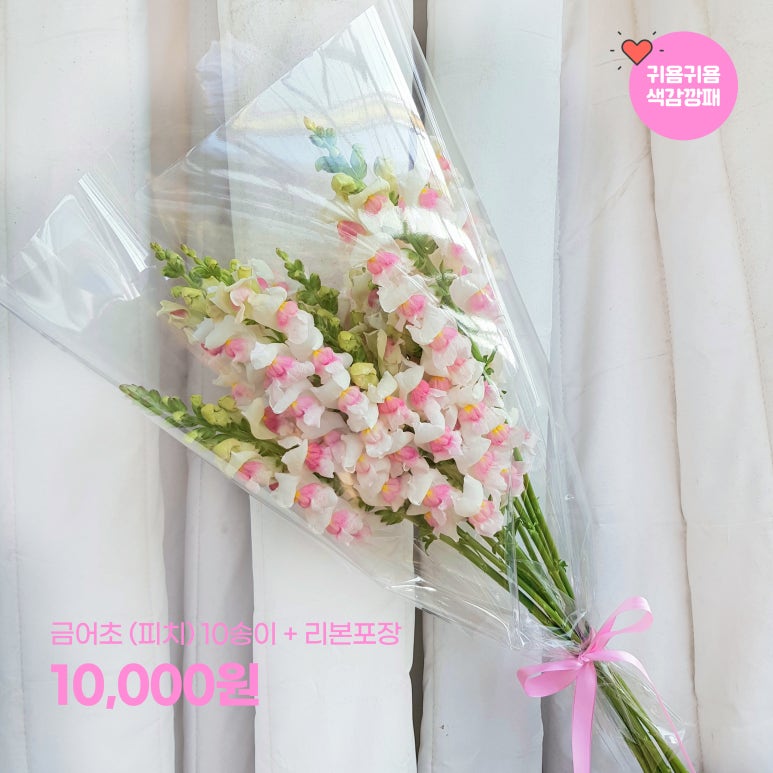 피움농장 이미지