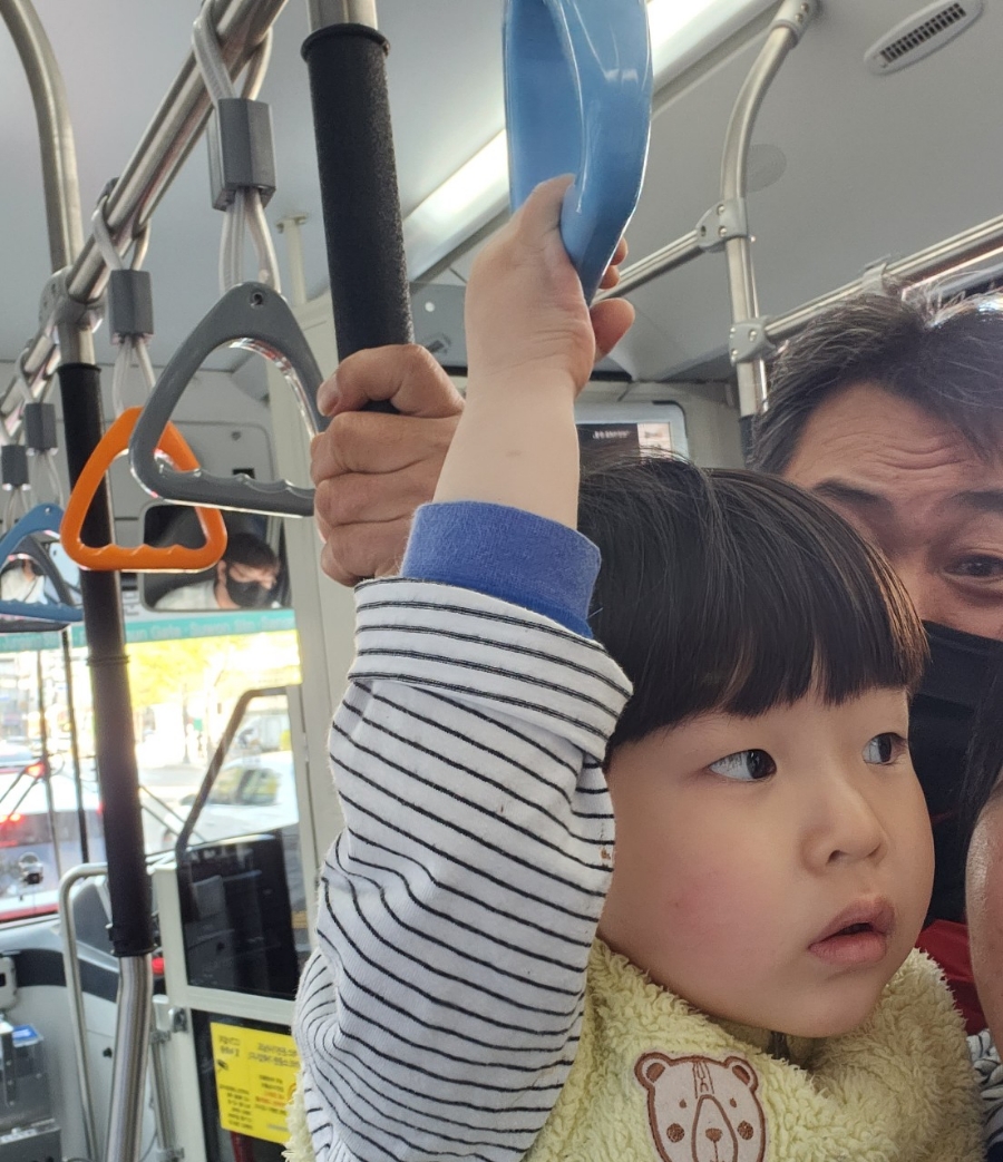 짜오띵 이미지