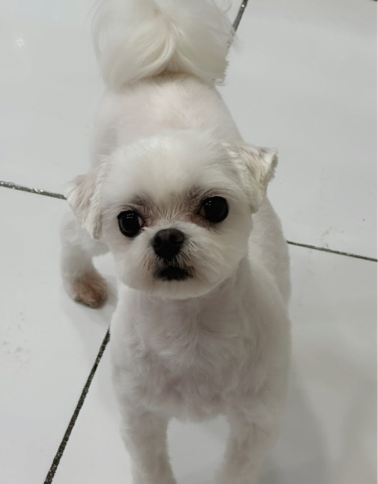 초원샵 이미지
