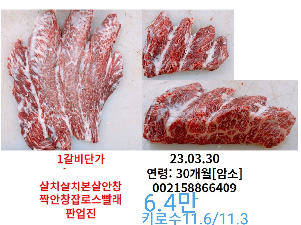 가가미트 이미지