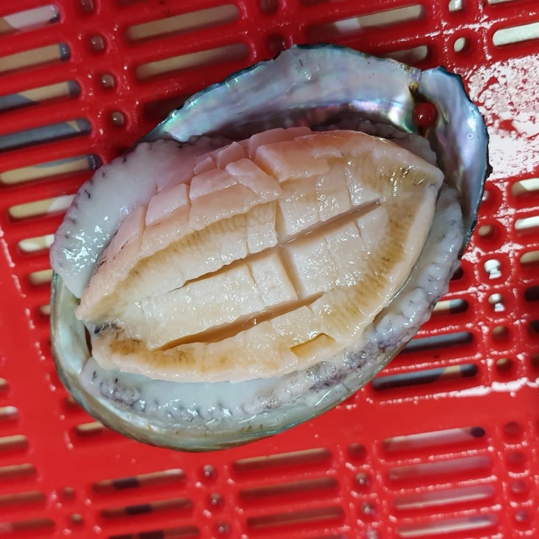 해신수산포차 이미지