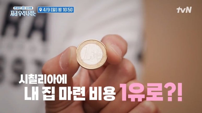 투어리즘인사이트 이미지