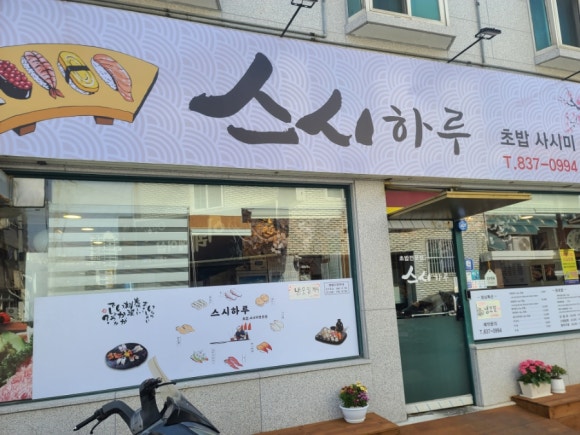 알로하리안 이미지