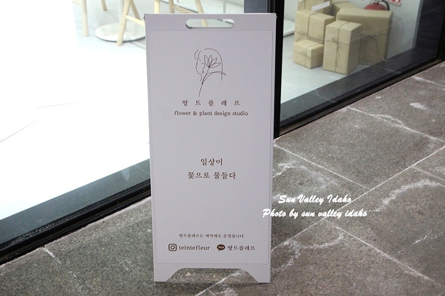 땅트플레르 이미지