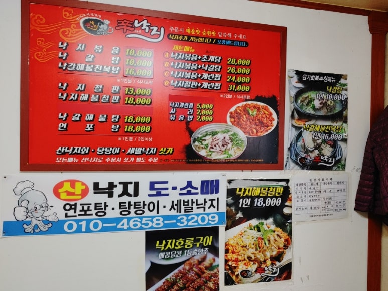 신낙지 이미지