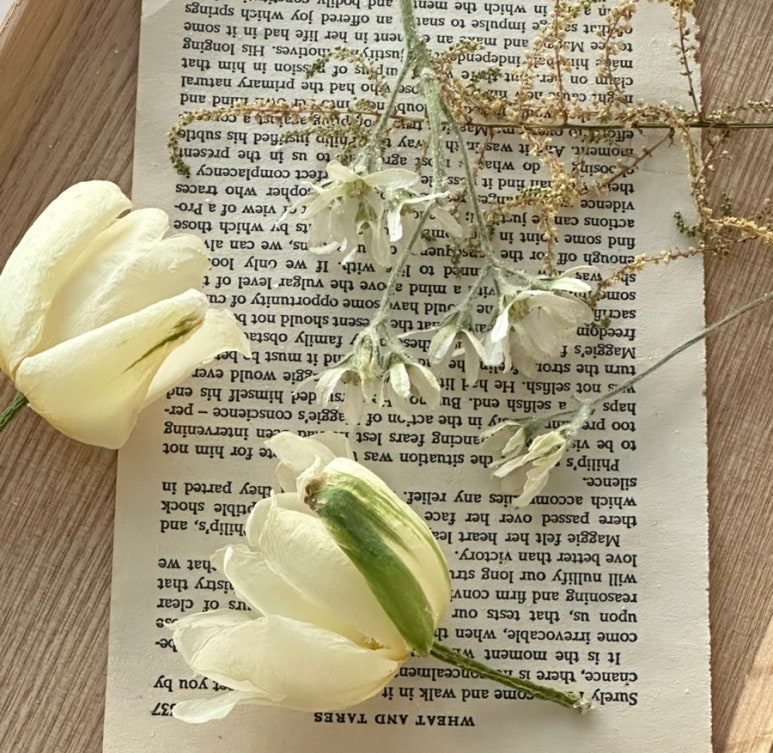 주기밍 이미지
